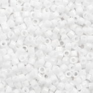 Miyuki kralen delica's 11/0 Matte AB white