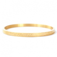 Roestvrij stalen (RVS) Stainless steel armbanden leopard print Goud