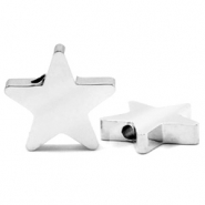Roestvrij stalen (RVS) Stainless steel kralen ster Zilver