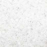 Miyuki kralen delica's 11/0 Matte crystal DB-741