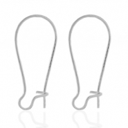 Roestvrij stalen (RVS) Stainless steel oorbellen Zilver