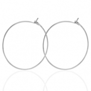 Roestvrij stalen (RVS) Stainless steel oorbellen 25mm Zilver