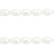 BQ Zoetwaterparels rice 7x6mm Natural white