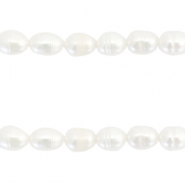 BQ Zoetwaterparels rice 7x5mm Natural white