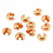 Onderdelen Knijpkraal verberger