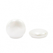Schelp pearl shine kraal rond 12mm White