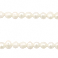 Zoetwaterparels rond 3mm Natural white