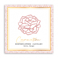 Sieraden kaartjes Birth flower January-Carnation Red