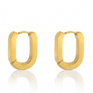 Roestvrij stalen (RVS) Stainless steel oorbellen oval Goud