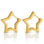 Roestvrij stalen (RVS) Stainless steel oorbellen star Goud