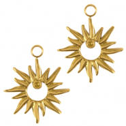 Roestvrij stalen (RVS) Stainless steel bedels ster Goud