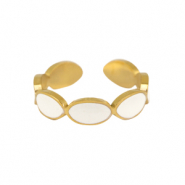 Roestvrij stalen (RVS) Stainless steel ringen enamel ovaal White-gold