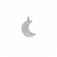 Roestvrij stalen (RVS) Stainless steel bedels La Luna maan Silver