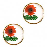 Tussenstukken met gedroogde bloemetjes 20mm Gold-red green