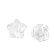 Acryl kralen ster Transparent