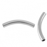 Roestvrij stalen (RVS) Stainless steel kralen tube 30mm Silver