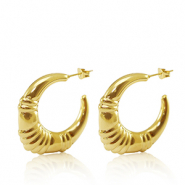 Roestvrij stalen (RVS) Stainless steel oorbellen / oorstekers creolen ovaal Goud