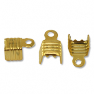 Roestvrij stalen (RVS) Stainless steel onderdelen veterklemmen Gold