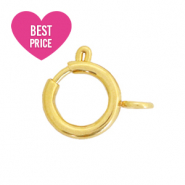 Roestvrij stalen (RVS) Stainless steel onderdelen slotje 7x9mm Goud