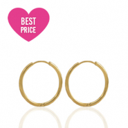 Roestvrij stalen (RVS) Stainless steel oorbellen creolen 11mm Gold