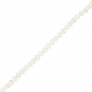 Schelp kralen rond White