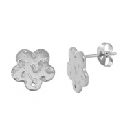 Roestvrij stalen (RVS) Stainless steel oorbellen / oorstekers Silver