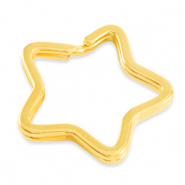 Onderdelen DQ metaal sleutelhanger ster Goud (nikkelvrij)