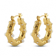 Roestvrij stalen (RVS) Stainless steel oorbellen / oorstekers Gold