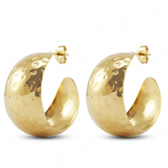 Roestvrij stalen (RVS) Stainless steel oorbellen / oorstekers Gold