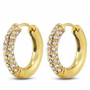 Roestvrij stalen (RVS) Stainless steel oorbellen / creolen Gold