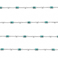 Roestvrij stalen (RVS) Stainless steel onderdelen jasseron howliet tube Silver-turquoise