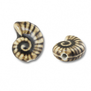 Kralen keramiek schelp Light brown