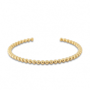 Roestvrij stalen (RVS) Stainless steel armbanden bangle Gold