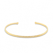 Roestvrij stalen (RVS) Stainless steel armbanden bangle Gold