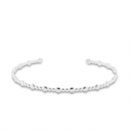 Roestvrij stalen (RVS) Stainless steel armbanden bangle Silver