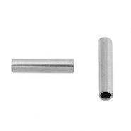 Roestvrij stalen (RVS) Stainless steel kralen tube 10mm Silver