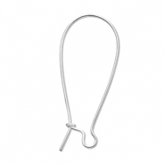 Roestvrij stalen (RVS) stainless steel onderdelen sluitbare oorhangers Silver