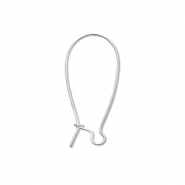 Roestvrij stalen (RVS) stainless steel onderdelen sluitbare oorhangers Silver