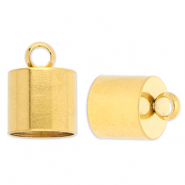 Roestvrij stalen (RVS) Stainless steel onderdelen eindkap &Oslash;10mm met oog Gold