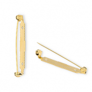 Roestvrij stalen (RVS) Stainless steel onderdelen brochespeld Gold