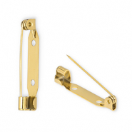 Roestvrij stalen (RVS) Stainless steel onderdelen brochespeld Gold
