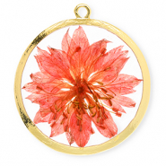 Bedels met gedroogde bloemetjes 34mm Gold-living coral red
