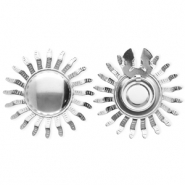 Roestvrij stalen (RVS) Stainless steel button covers zon Silver