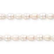 TQ zoetwaterparels rice 7x6mm Natural white