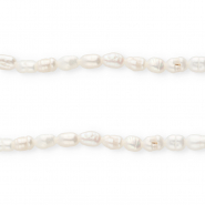 TQ zoetwaterparels rice 5x4mm Natural white