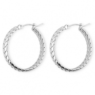 Roestvrij stalen (RVS) Stainless steel oorbellen / creolen snake Silver
