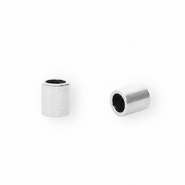 Roestvrij stalen (RVS) Stainless steel onderdelen eindkap &Oslash;2.5mm Silver