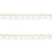 TQ Zoetwaterparels rice 11x8mm Natural white