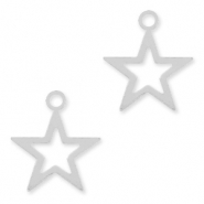 Kralen / bedels 925 Zilver kralen en bedels