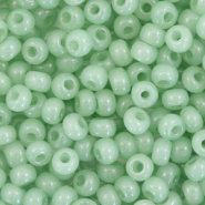 Preciosa Preciosa rocailles 6/0